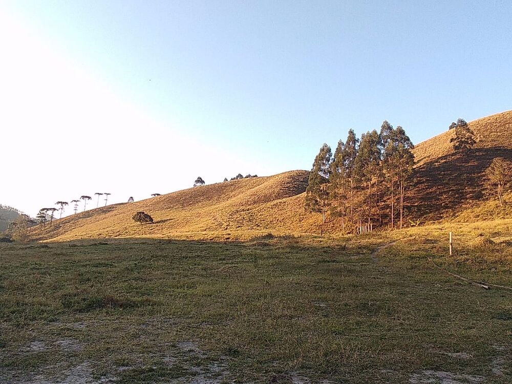 Fazenda à venda com 2 quartos, 12m² - Foto 3