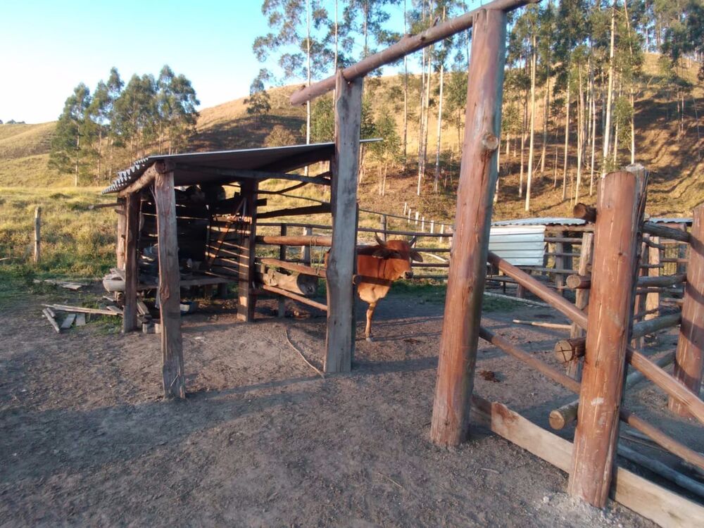 Fazenda à venda com 2 quartos, 12m² - Foto 4