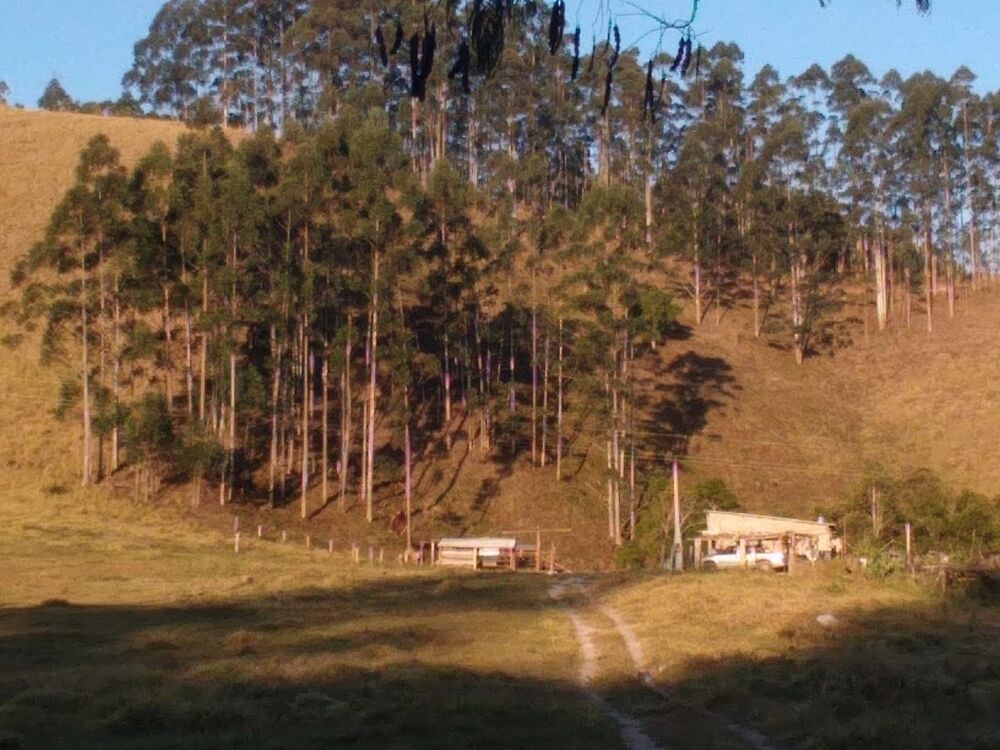Fazenda à venda com 2 quartos, 12m² - Foto 6