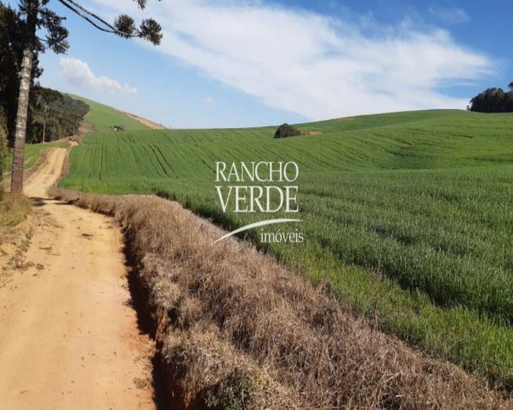 Fazenda, 339 hectares - Foto 17