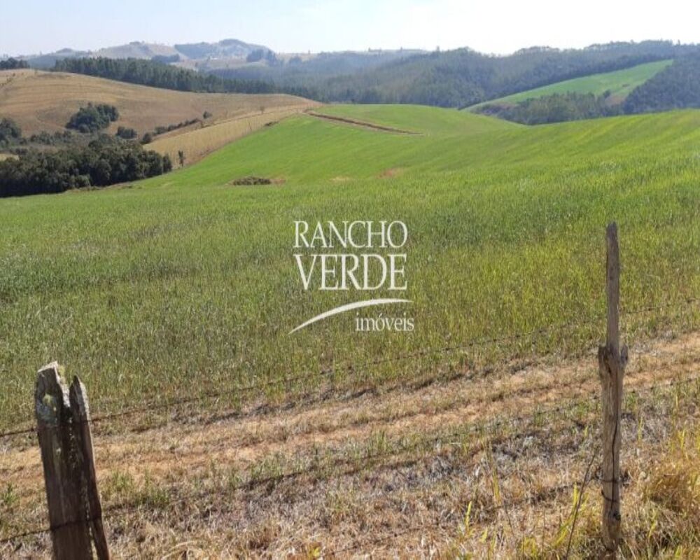 Fazenda, 339 hectares - Foto 3