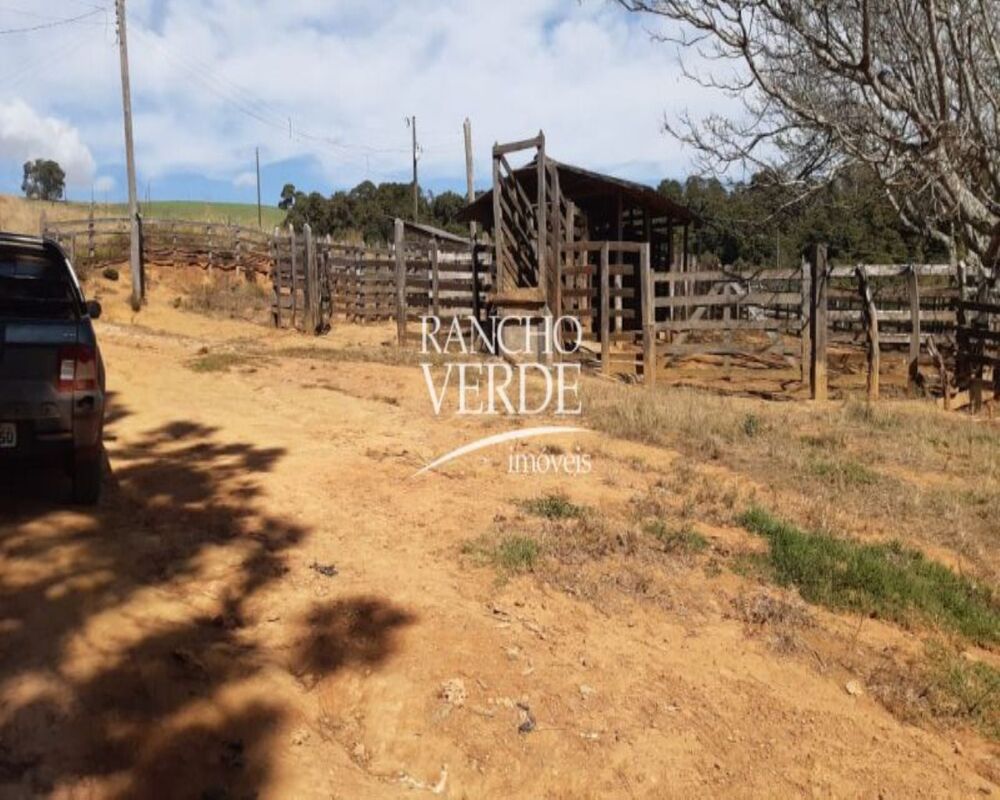 Fazenda, 339 hectares - Foto 8