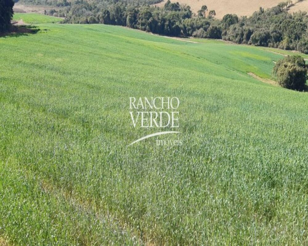 Fazenda, 339 hectares - Foto 16