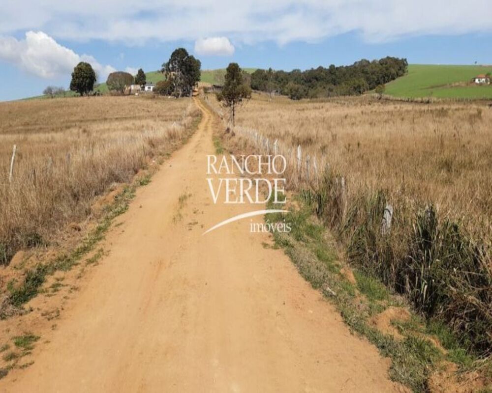 Fazenda, 339 hectares - Foto 13