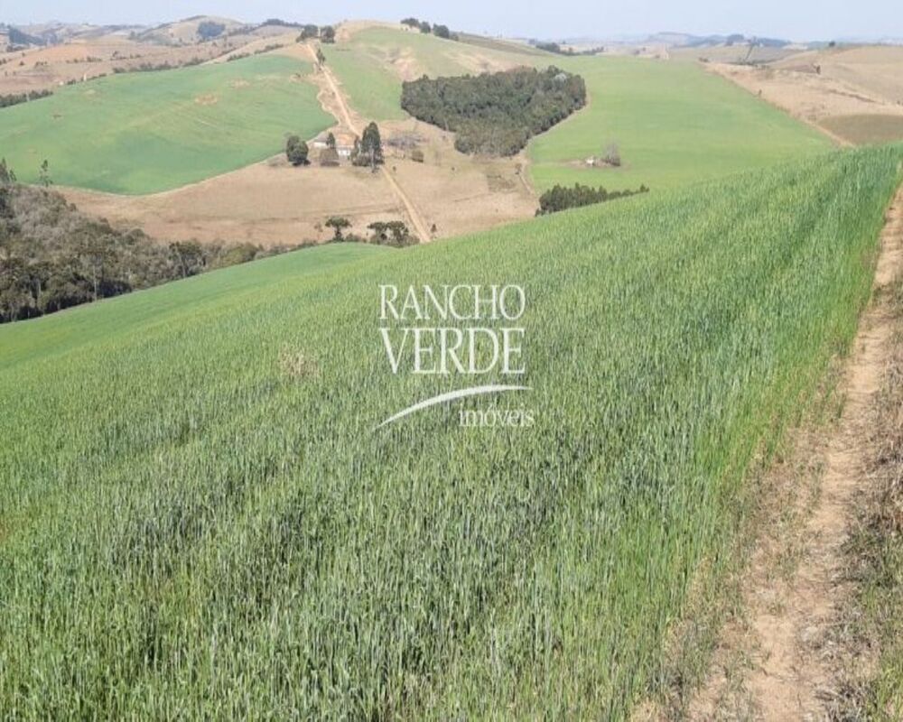 Fazenda, 339 hectares - Foto 12