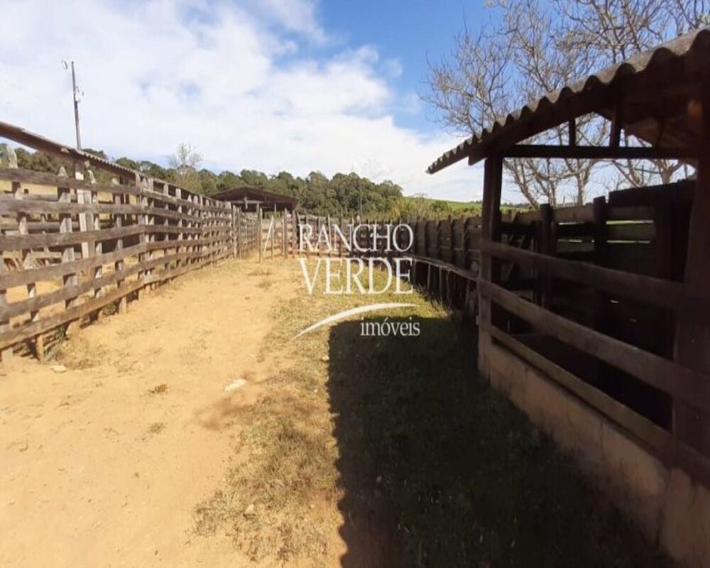 Fazenda, 339 hectares - Foto 4