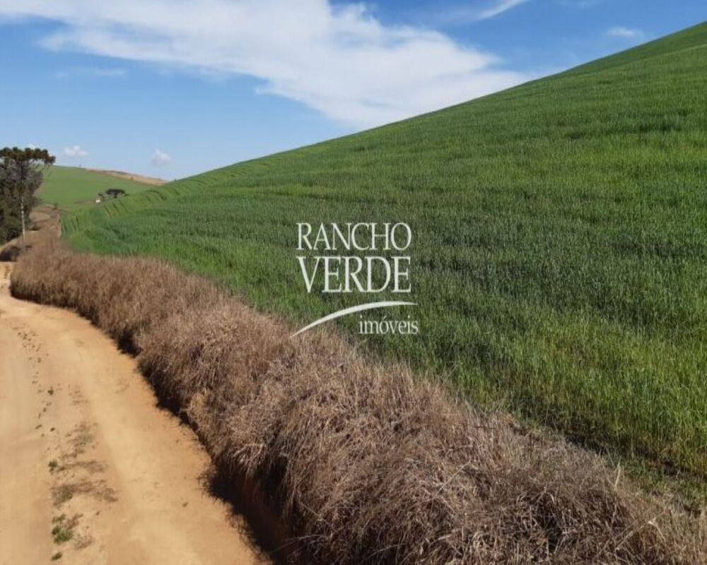 Fazenda, 339 hectares - Foto 20