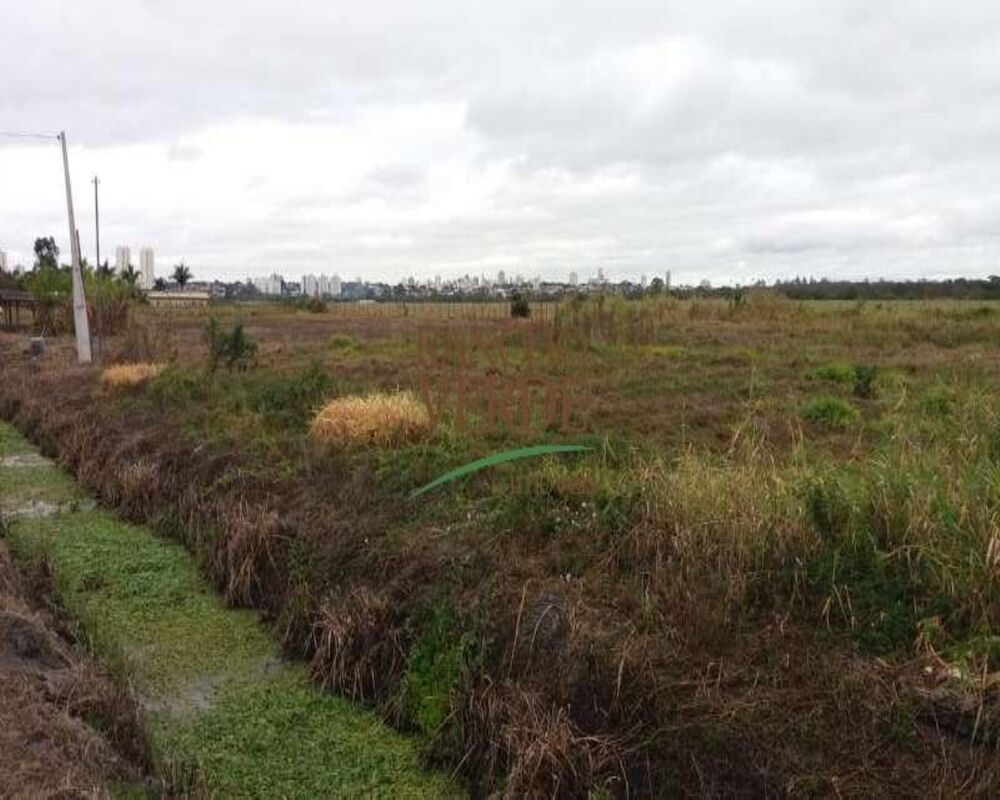 Haras e Área Rural Padrão à venda, 20000m² - Foto 6