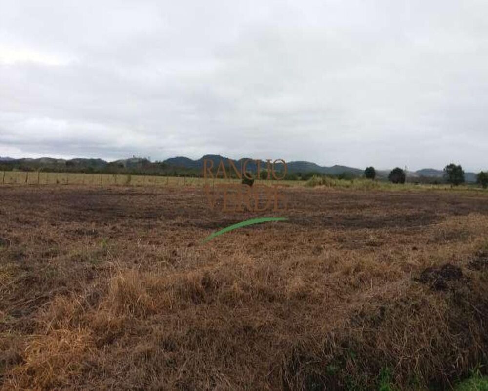 Haras e Área Rural Padrão à venda, 20000m² - Foto 5