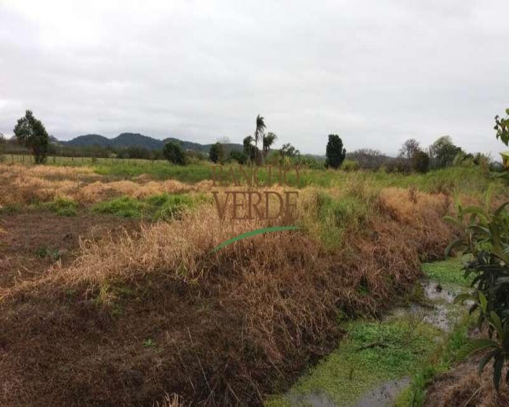 Haras e Área Rural Padrão à venda, 20000m² - Foto 7