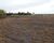 Fazenda, 2 hectares - Foto 8