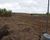 Fazenda, 2 hectares - Foto 1