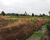 Fazenda, 2 hectares - Foto 7