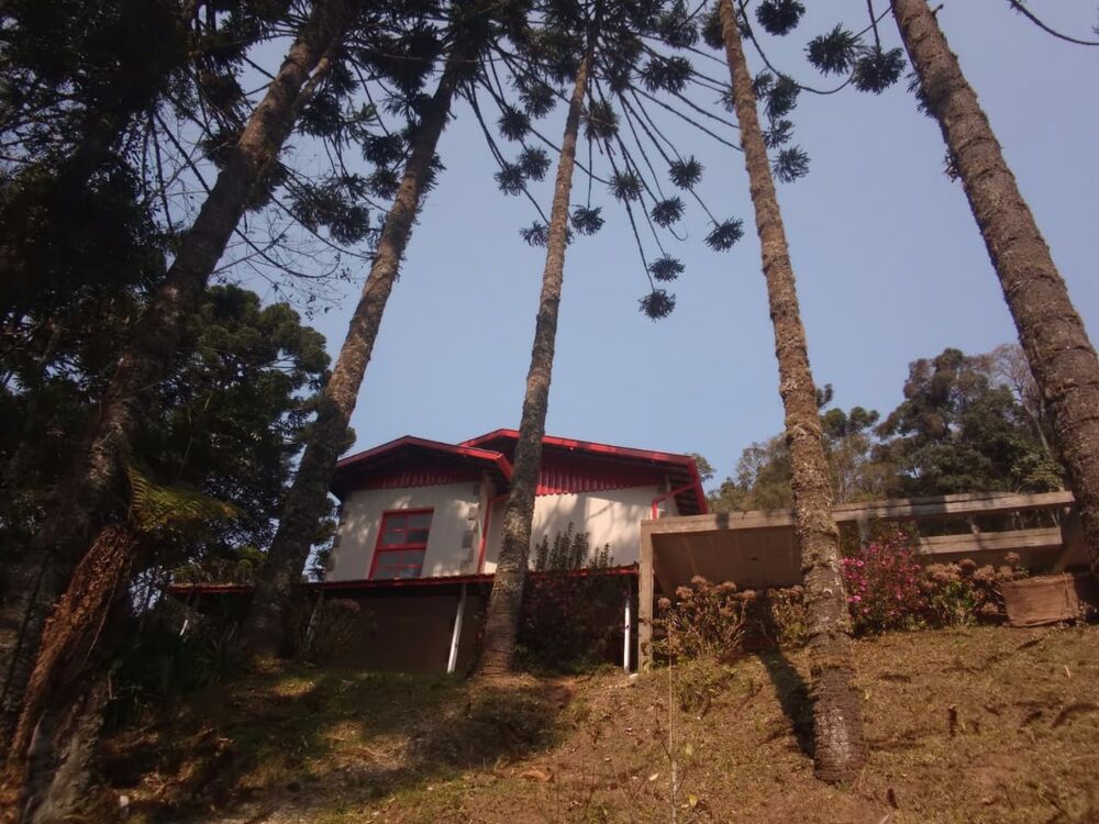 Sítio, 5 quartos, 6 hectares - Foto 4