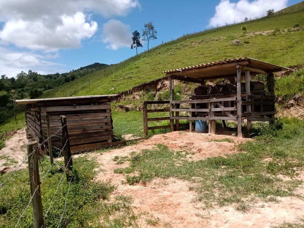 Sítio, 3 quartos, 5 m² - Foto 10