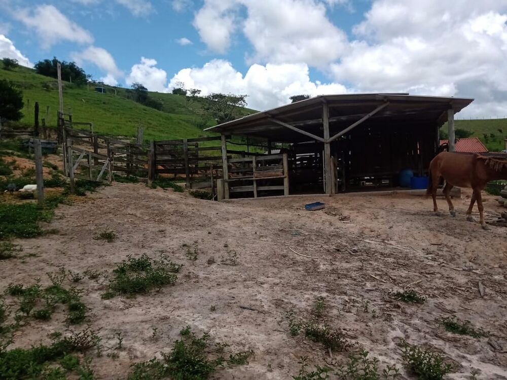Sítio, 3 quartos, 5 m² - Foto 23