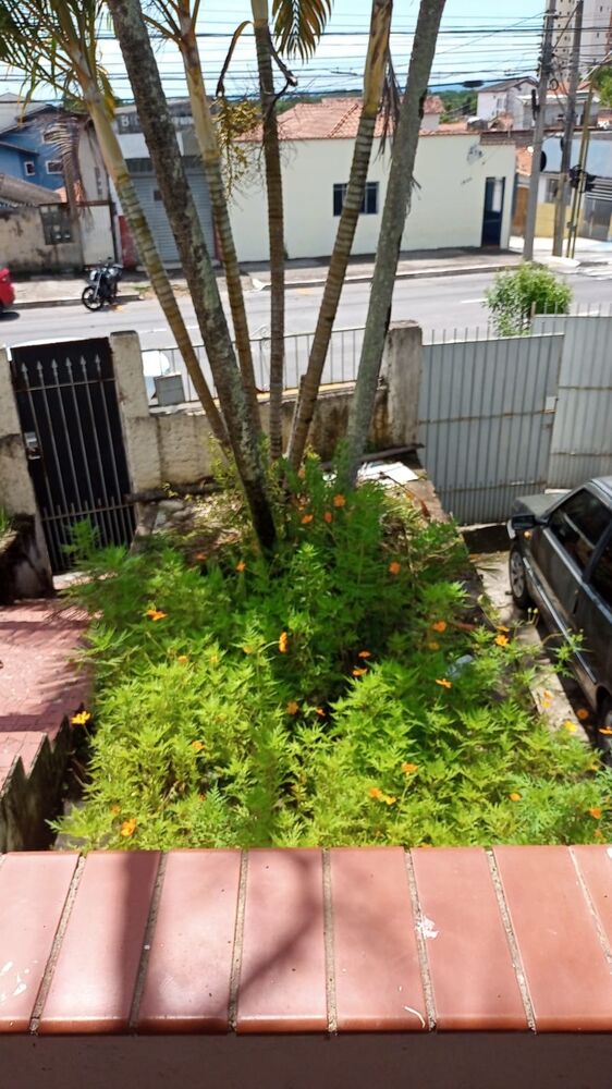 Casa, 4 quartos - Foto 16