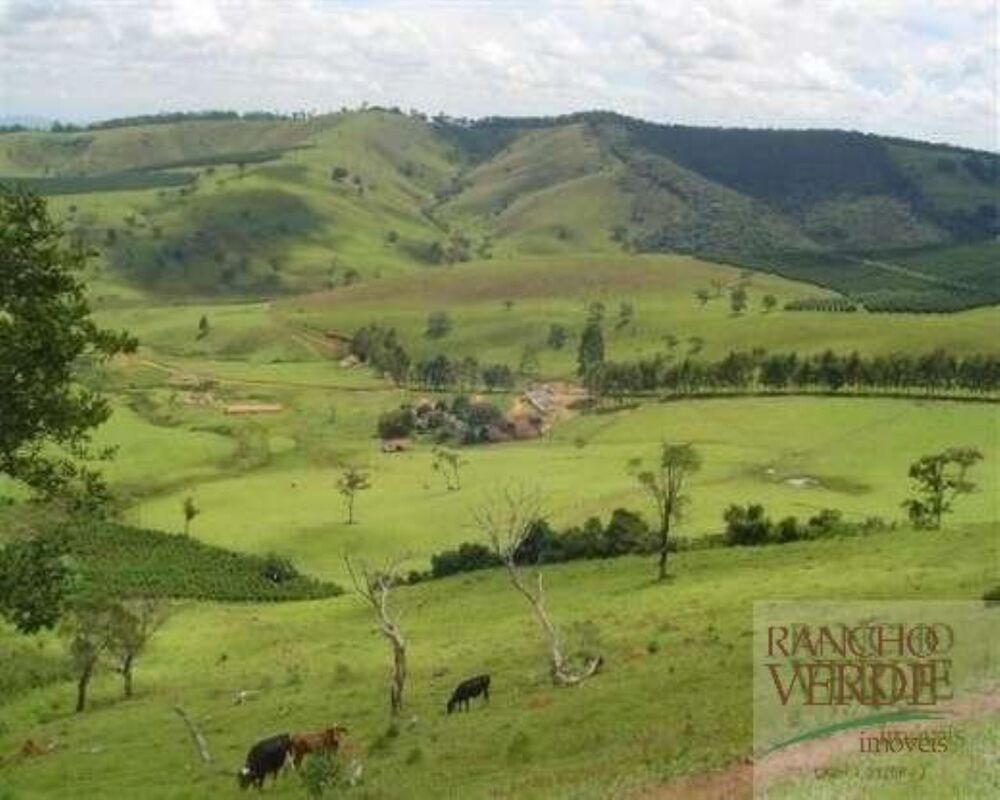 Fazenda, 791 hectares - Foto 1