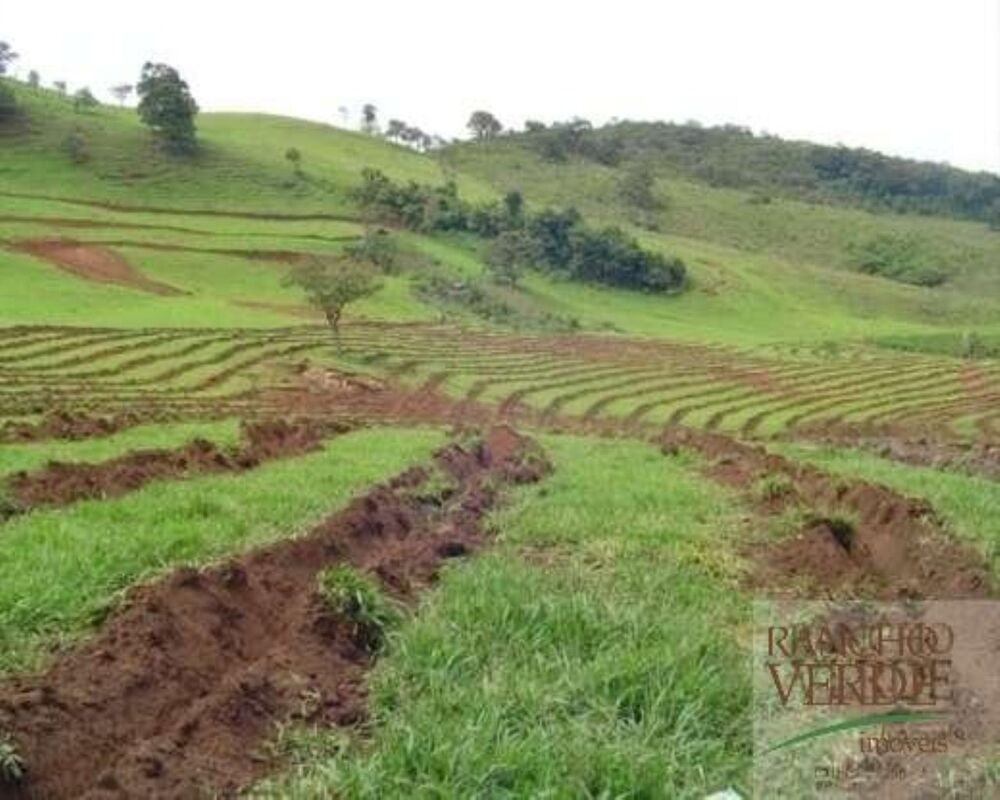 Fazenda, 791 hectares - Foto 6
