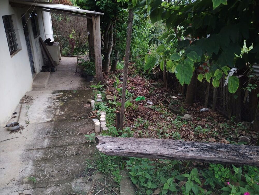 Chácara, 1 quarto, 750 m² - Foto 2