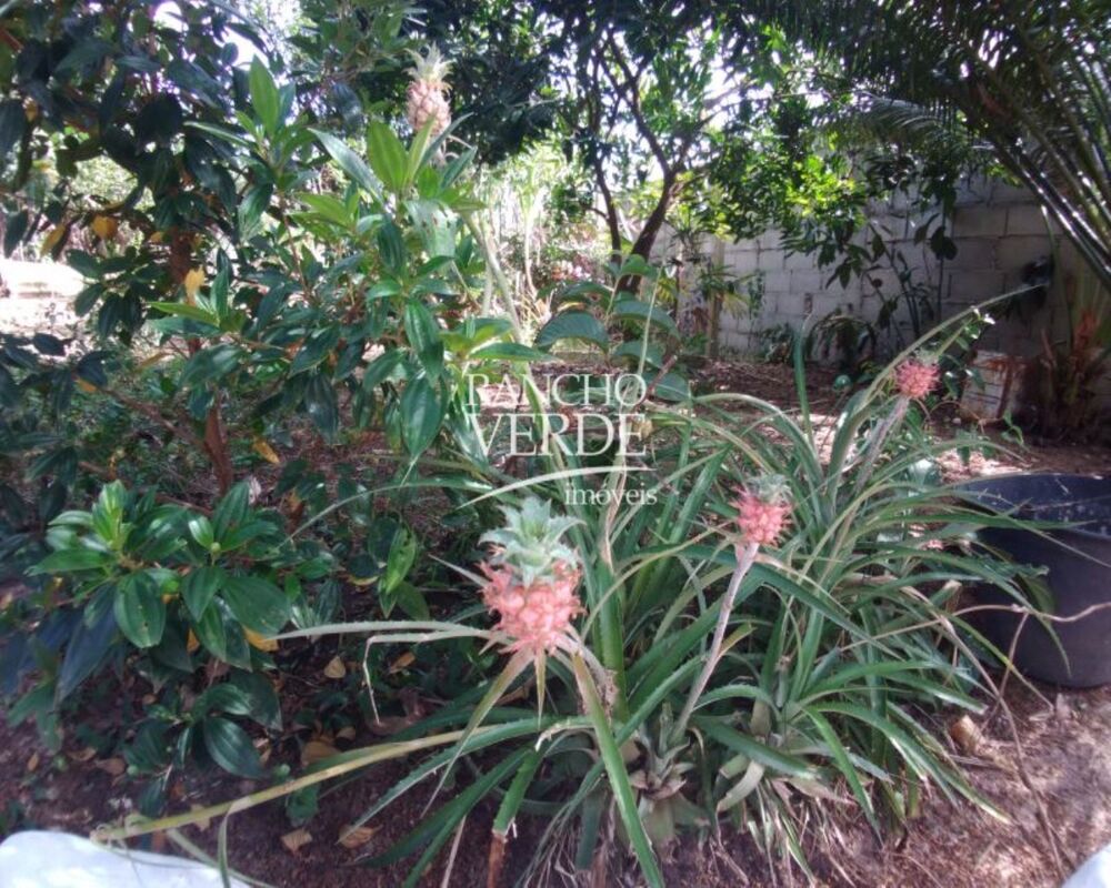 Chácara, 2 quartos, 1500 m² - Foto 6