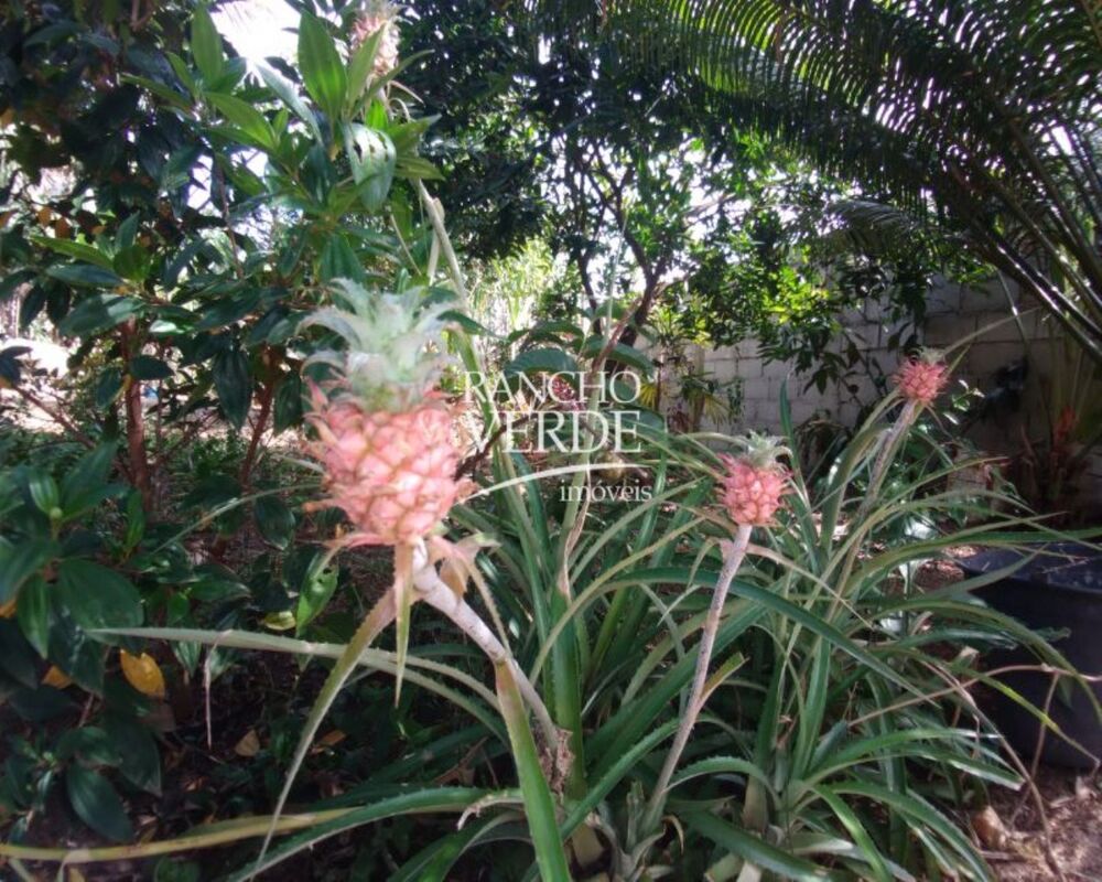 Chácara, 2 quartos, 1500 m² - Foto 8