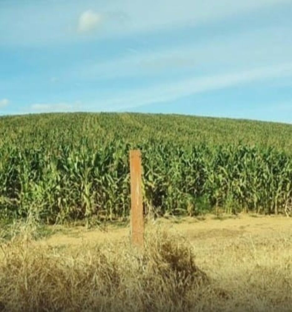 Fazenda à venda, 190m² - Foto 3