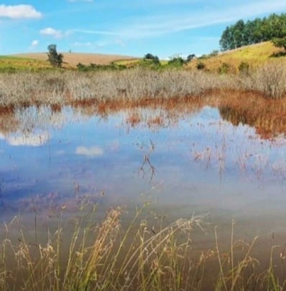 Fazenda à venda, 190m² - Foto 2