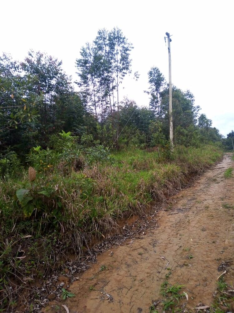 Sítio, 1 quarto, 7 m² - Foto 6