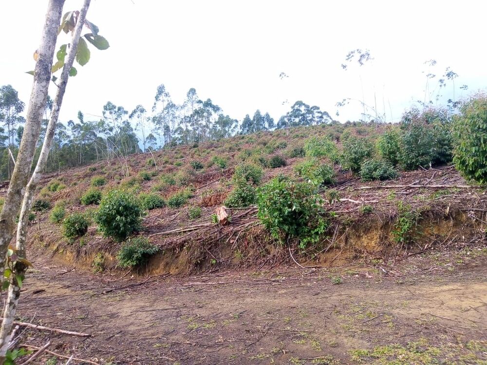 Sítio, 1 quarto, 7 m² - Foto 18