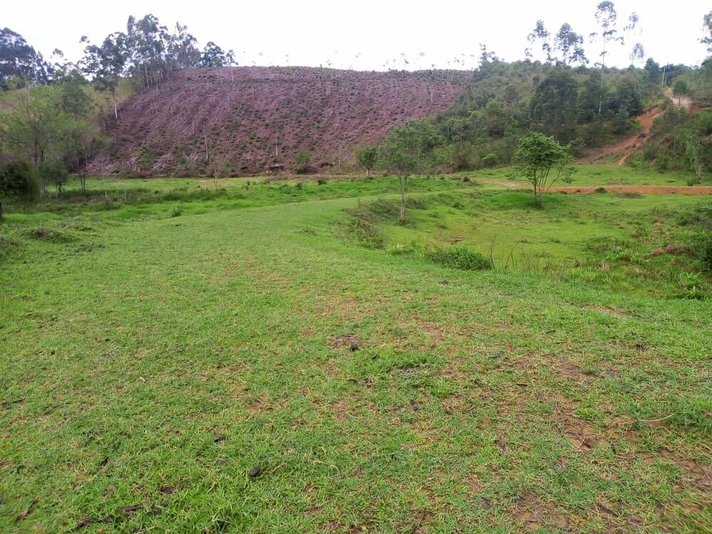 Sítio, 1 quarto, 7 m² - Foto 14