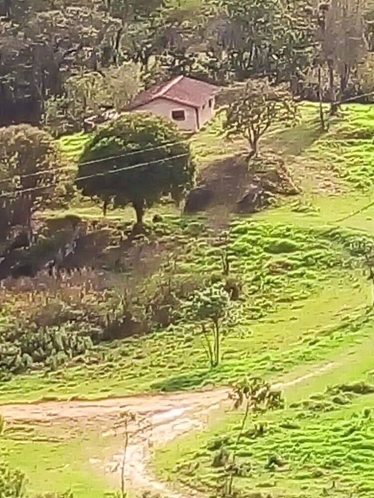 Sítio, 1 quarto, 7 m² - Foto 23