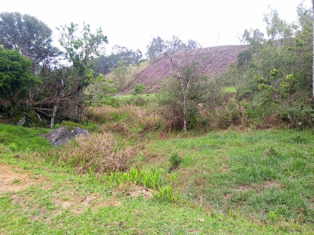 Sítio, 1 quarto, 7 m² - Foto 12