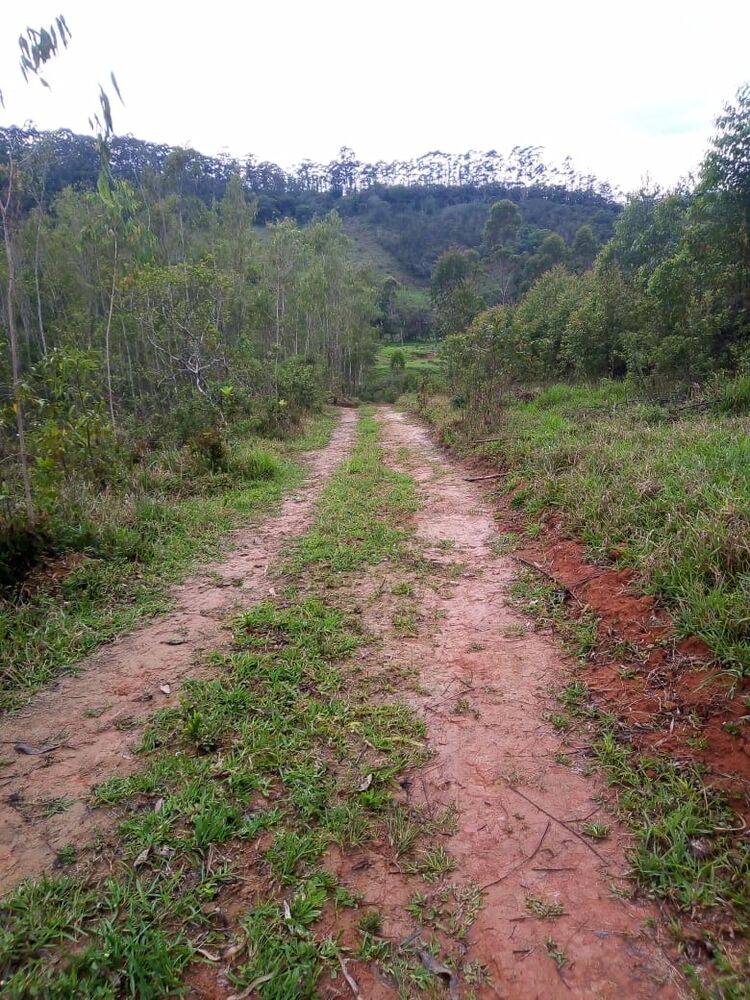 Sítio, 1 quarto, 7 m² - Foto 19