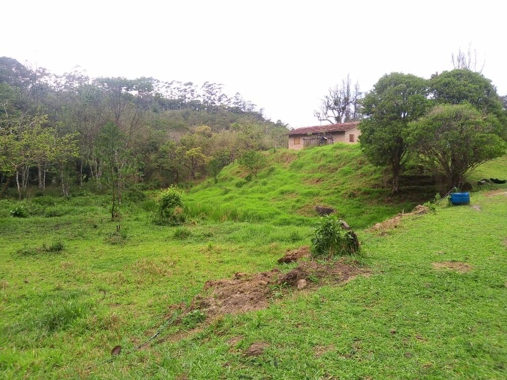 Sítio, 1 quarto, 7 m² - Foto 21