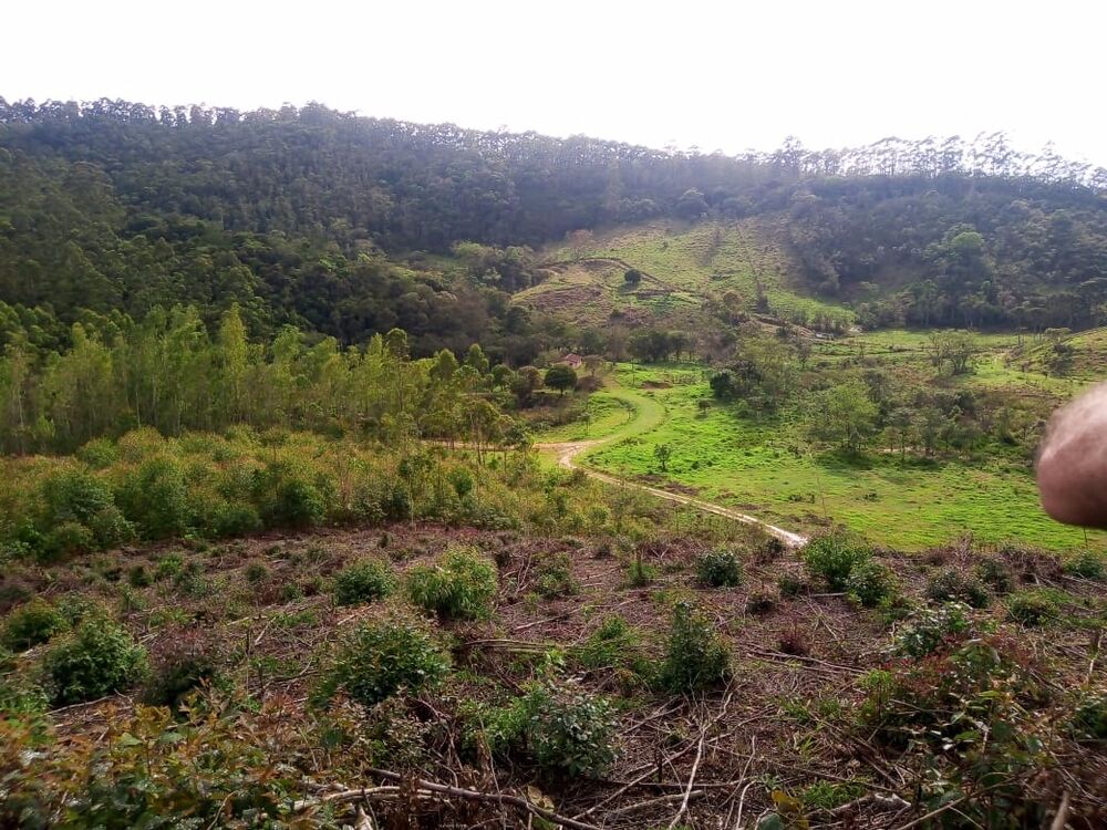 Sítio, 1 quarto, 7 m² - Foto 26