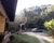 Chácara, 5 quartos, 3 hectares - Foto 4