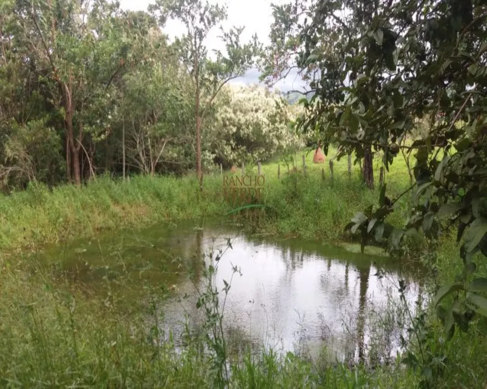 Fazenda à venda com 2 quartos, 13600m² - Foto 3