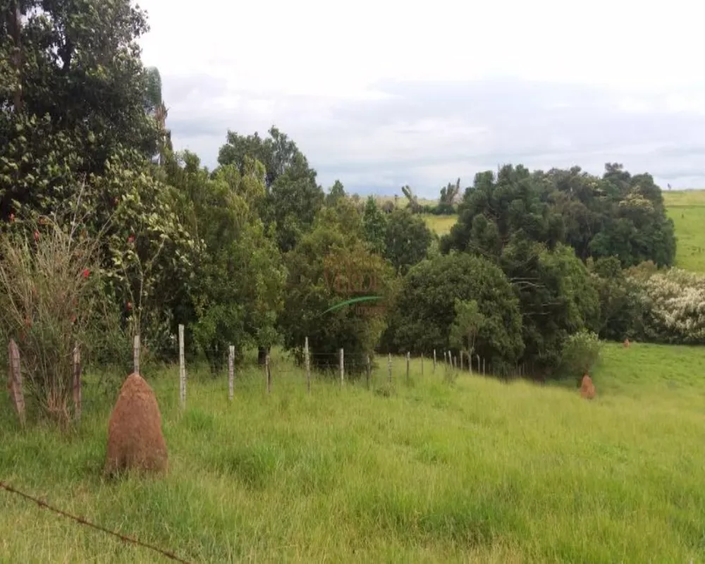 Fazenda à venda com 2 quartos, 13600m² - Foto 2