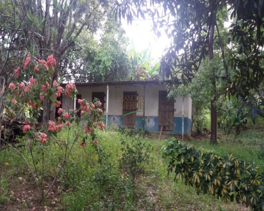 Fazenda à venda com 2 quartos, 13600m² - Foto 4