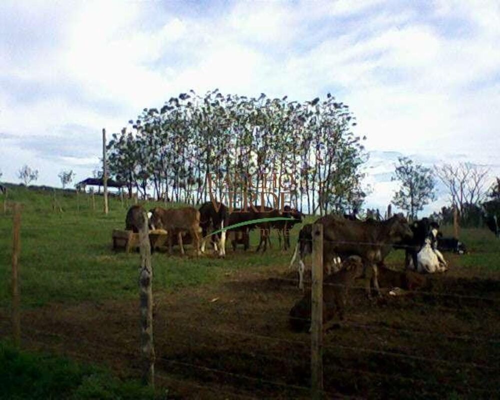 Fazenda, 660 hectares - Foto 4