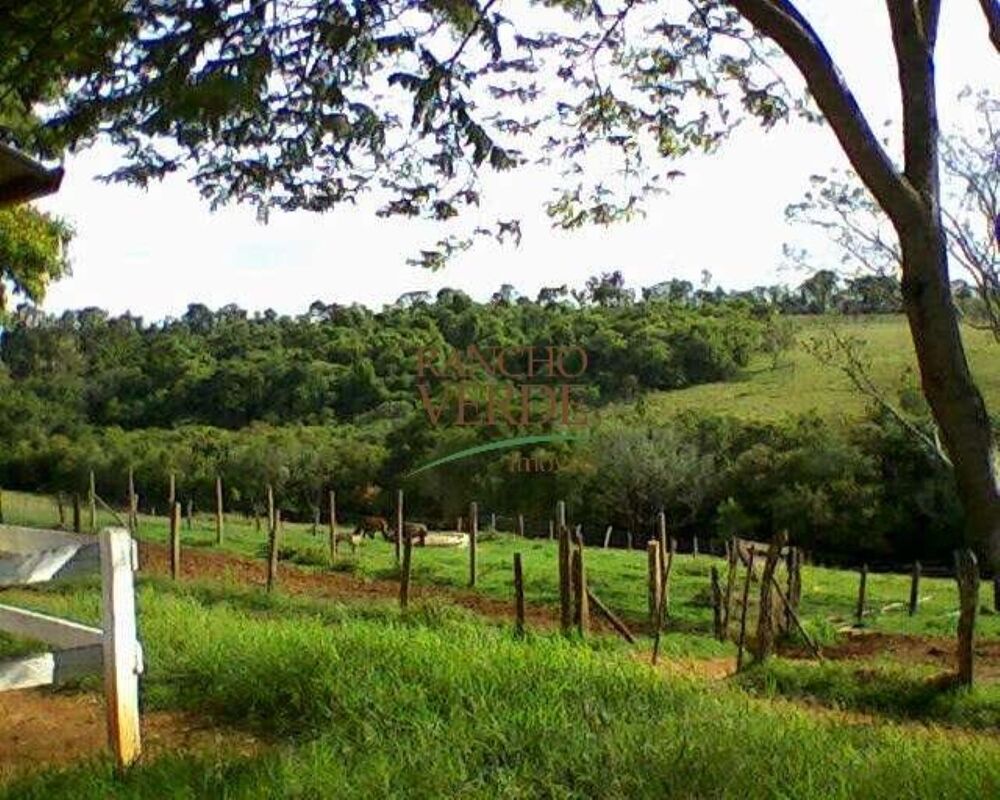 Fazenda, 660 hectares - Foto 3