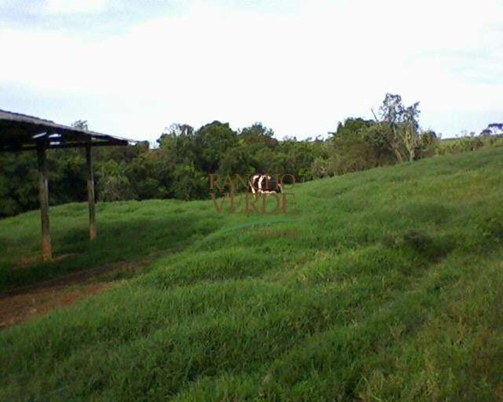 Fazenda, 660 hectares - Foto 5