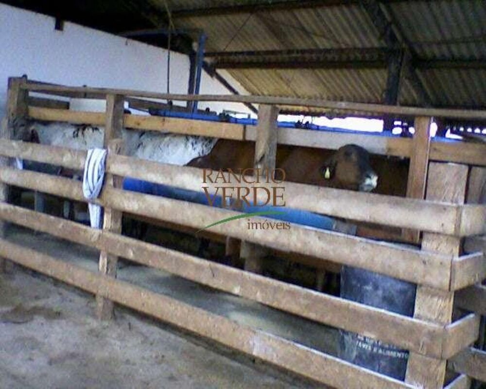 Fazenda, 660 hectares - Foto 7