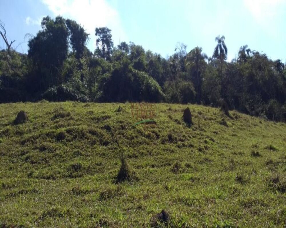 Fazenda, 5 hectares - Foto 5