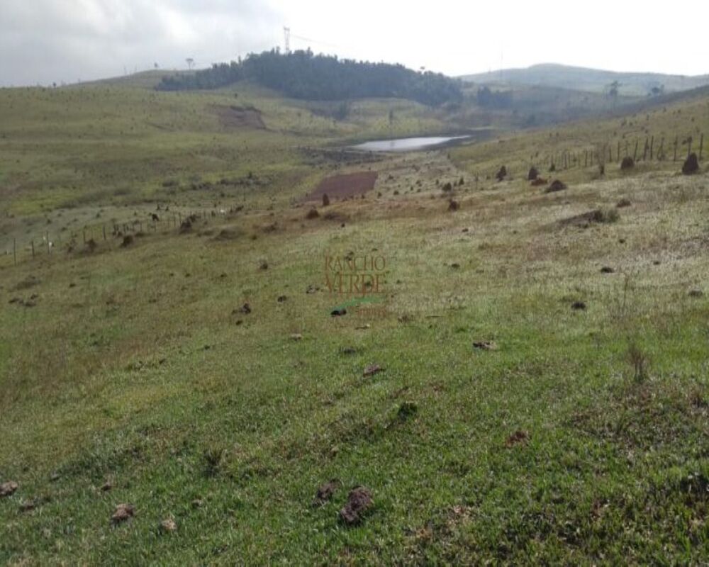 Fazenda, 5 hectares - Foto 2