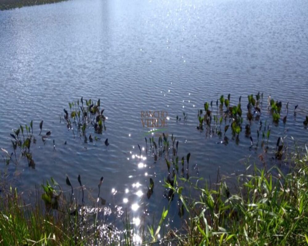 Fazenda, 5 hectares - Foto 6