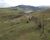 Fazenda-Sítio-Chácara, 5 hectares - Foto 1