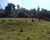 Fazenda-Sítio-Chácara, 5 hectares - Foto 5