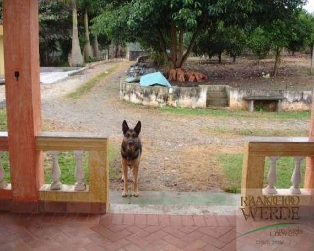 Chácara, 5 quartos, 5000 m² - Foto 3